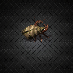 500pi-ţзز-2811500 :admin ID:3318 