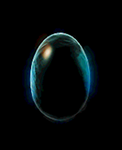 ղѾõħ-˳8927 :396500981 ID:13640 ղ,,