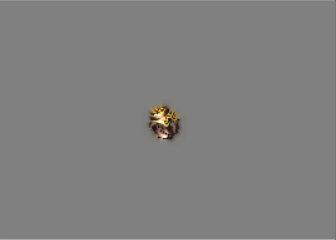 Ƥѷ--̬ս-ʥħ-5739 :Changyunfei ID:16919 