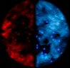 һ廯Чز2869 :juchen ID:19229 
