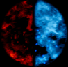 һ廯Чز8110 :juchen ID:19229 