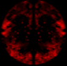 һ廯Чز5375 :juchen ID:19229 