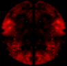 һ廯Чز6293 :juchen ID:19229 