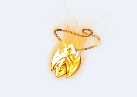 Ƥѷ-Ƹɫһף4162 :470842506 ID:23581 