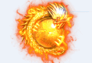 Ƥѷ-ҶƱʯ2829 :470842506 ID:25044 ,Ҷ,,ʯ