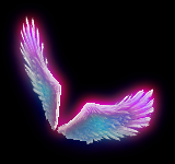 Ƥѷ-һ̬2499 :1131754987 ID:27101 һ,̬,