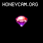 С-ʯز 嶯̬ʯ   Աز192326 :صС ID:28891 С,ʯ,ز,̬,