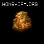 Ƥѷ- 2׶̬ ӡս2243 :صС ID:28936 ,̬,,ӡ,