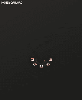 ռ--ſἼЧ3355 :lovemei1314 ID:30585 ,ռ,ſ,,Ч