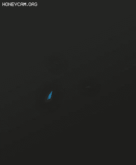 ռ--ſἼЧ929 :lovemei1314 ID:30585 ,ռ,ſ,,Ч