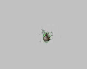 PNG̬-645 :WANG6686 ID:30610 ̬