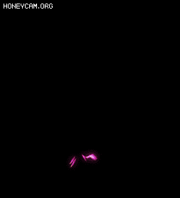 Ƥѷ-׾漼Ч4484 :lovemei1314 ID:30714 