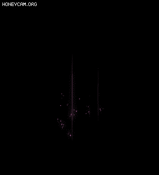 Ƥѷ-׾漼Ч9668 :lovemei1314 ID:30714 