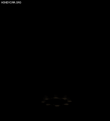 Ƥѷ-Чܡÿ2883 :lovemei1314 ID:30719 