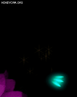 Ƥѷ-ſЧ4165 :lovemei1314 ID:30846 