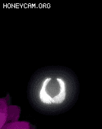Ƥѷ-ſЧ6708 :lovemei1314 ID:30846 