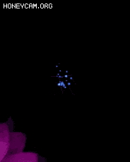 һЧ7345 :lovemei1314 ID:30849 һ,,,Ч