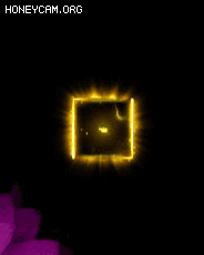 ѡ߶ͨЧ7621 :lovemei1314 ID:30850 