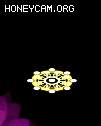 ʮ¹⻷ȦBUFF9627 :lovemei1314 ID:30984 