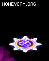 ʮ¹⻷ȦBUFF9694 :lovemei1314 ID:30984 