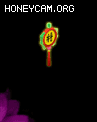 ͷɰСͼ998 :lovemei1314 ID:31023 