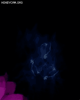 ĸ漼Ч--20213001163 :lovemei1314 ID:31049 