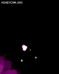 Ч--20214086 :lovemei1314 ID:31092 