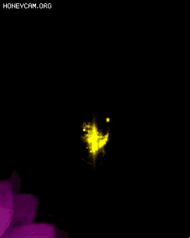 ҵЧ8846 :lovemei1314 ID:31094 