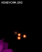 սȦЧ7339 :lovemei1314 ID:31144 
