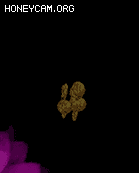 Ч3624 :lovemei1314 ID:31149 