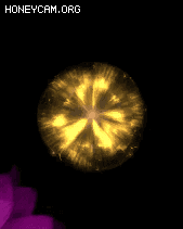 ߶˾ͨЧ-20213021297 :lovemei1314 ID:31153 