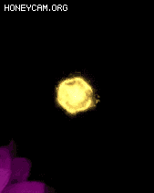 ߶˾ͨЧ-20213024672 :lovemei1314 ID:31153 