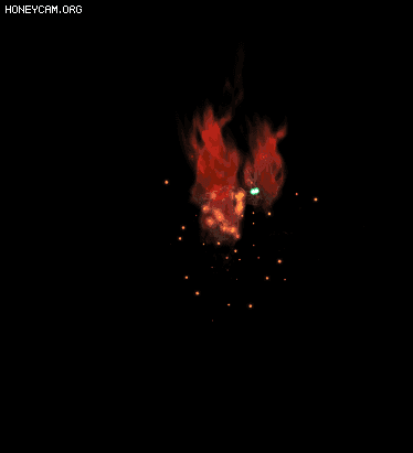 Ч1377 :lovemei1314 ID:31259 