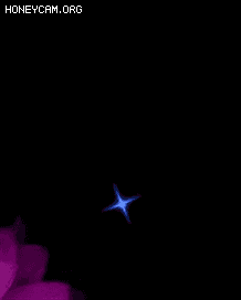 ʮſἼЧ4185 :lovemei1314 ID:31310 