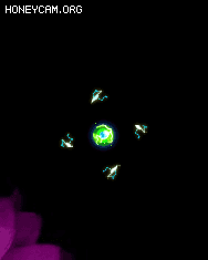 ʮſἼЧ6254 :lovemei1314 ID:31310 