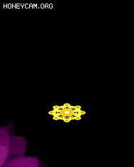 ʮſἼЧ3407 :lovemei1314 ID:31310 