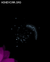 СЧ5408 :lovemei1314 ID:31312 ,,Ч