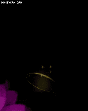 Ч-ظɾ3040 :lovemei1314 ID:31315 