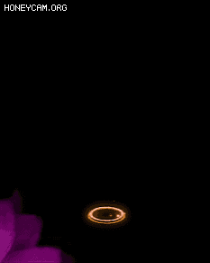 2021걬Ч6231 :lovemei1314 ID:31336 
