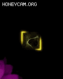 ͨЧС4791 :lovemei1314 ID:31398 