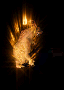 Ƥѷ-޺ϼ26180 :qq123x123 ID:31406 