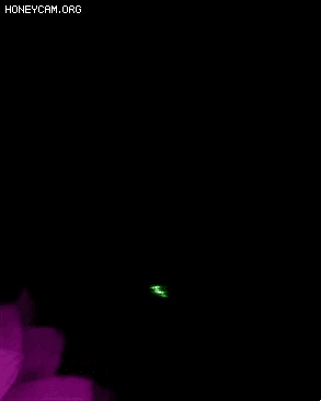 Ч8384 :lovemei1314 ID:31488 