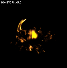 Чز8904 :lovemei1314 ID:31702 