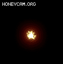 ʮѸز1984 :lovemei1314 ID:31725 