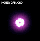 ʮѸز4429 :lovemei1314 ID:31725 