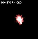 ʮѸز987 :lovemei1314 ID:31725 