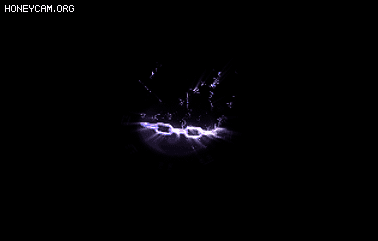 Чز1025 :lovemei1314 ID:31767 ,Ч,ز