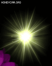 鼼Ч6671 :lovemei1314 ID:31778 ,Ч