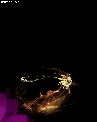 Чز7493 :lovemei1314 ID:31784 