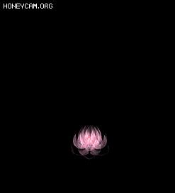 Ƥѷ-Ч6921 :lovemei1314 ID:31826 